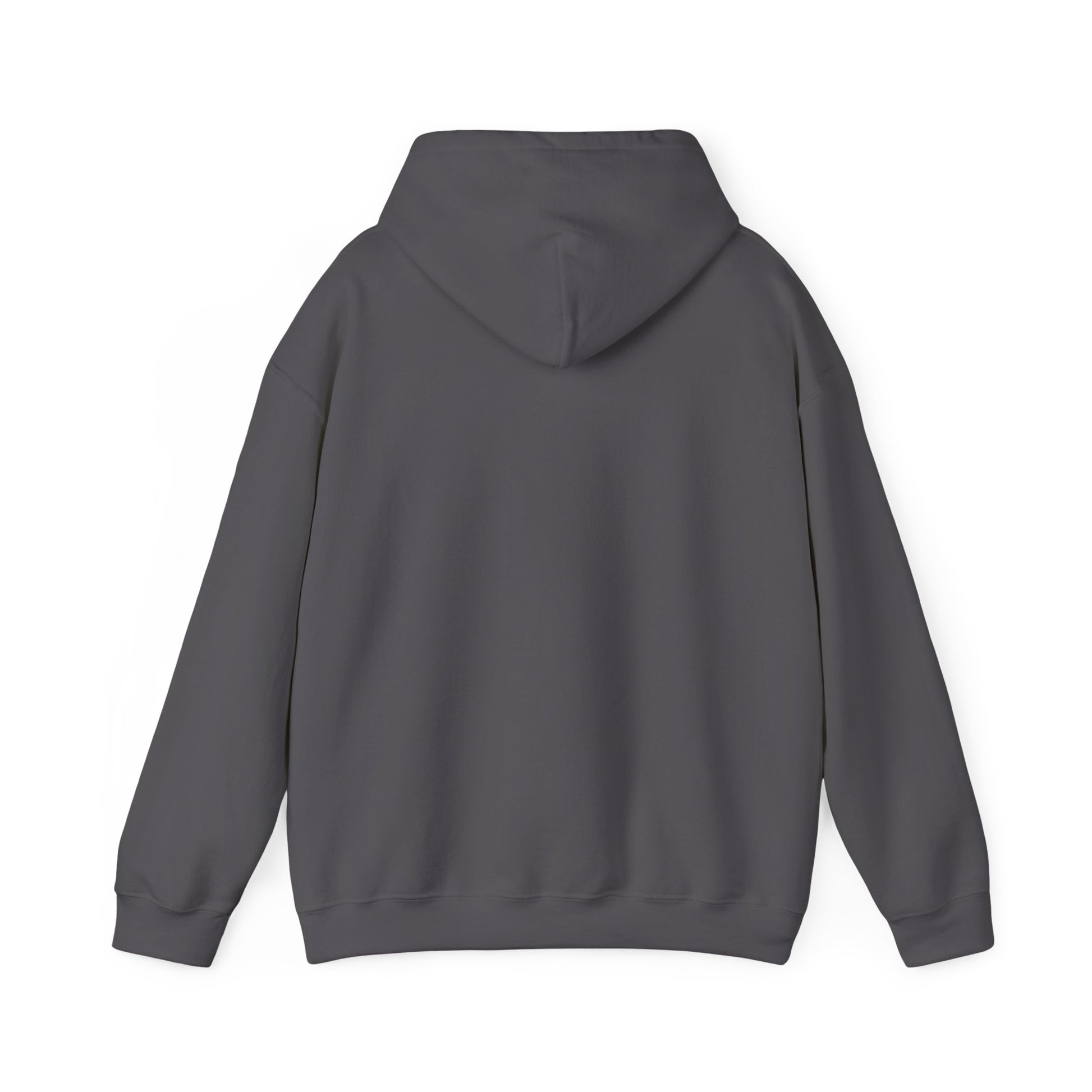 Hooded Sweatshirt - Achievement Unlocked: Got Out of Chair - Arctic Threadworks