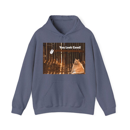 Cozy Cat Vibes Hoodie - You Look Good Unisex Sweatshirt - Arctic Threadworks