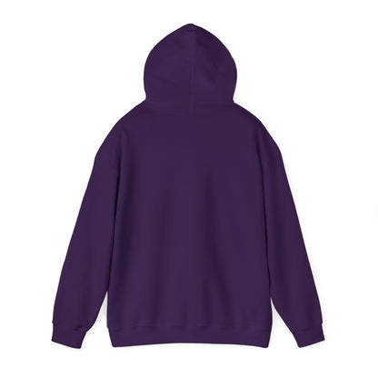 🌌 Aurora Drift Hoodie – Cozy, Mystical, and Effortlessly Stylish