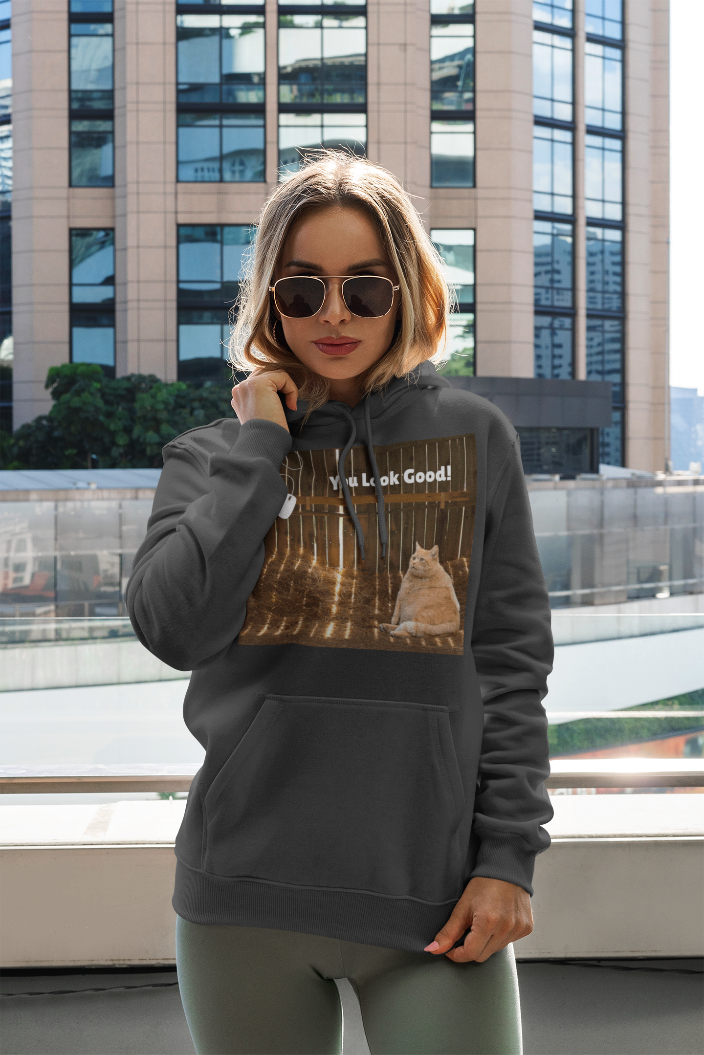 Cozy Cat Vibes Hoodie - You Look Good Unisex Sweatshirt - Arctic Threadworks