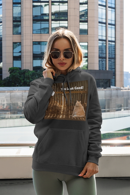 Cozy Cat Vibes Hoodie - You Look Good Unisex Sweatshirt - Arctic Threadworks